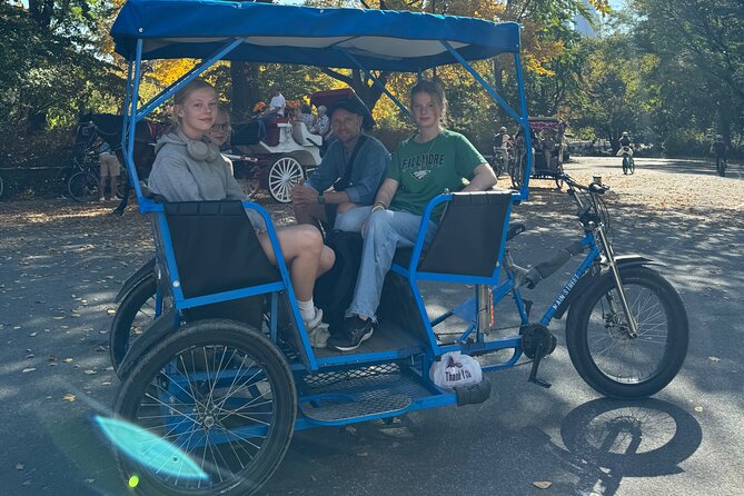 1 Hour Private Guided Tour - Passing the zoo, Balto, carousel, and Sheep Meadow