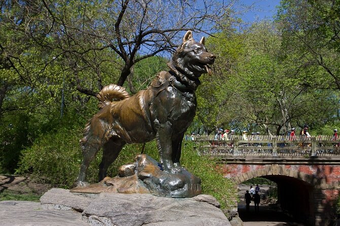 1 Hour Private Guided Tour - Bethesda Fountain and Terrace