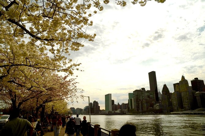 3Days New York City Tour With Professional Photographer - SoHo, TriBeCa, Little Italy, and Chinatown through a camera