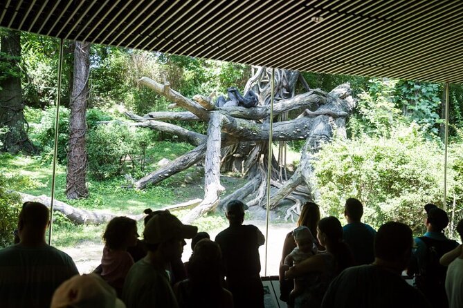 3Days New York City Tour With Professional Photographer - Photographing animals and nature at the Bronx Zoo