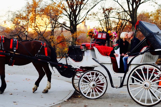 45 min Long VIP Central park carriage ride - Starting near Central Park South and West Drive