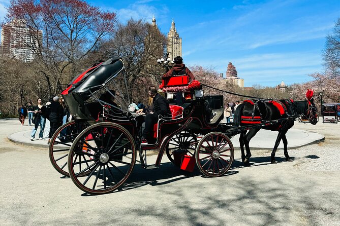 45 min Long VIP Central park carriage ride - The rink, carousel, Balto, and the Mall