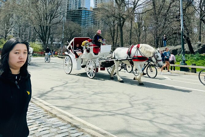 45 min Long VIP Central park carriage ride - Cherry Hill is the ride’s most useful stop