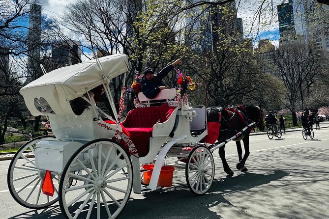 45 min Long VIP Central park carriage ride - Winter blankets, snow, and nighttime atmosphere