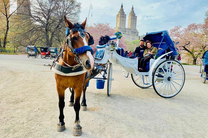 45 min Long VIP Central park carriage ride - Bethesda Terrace and the first Central Park views