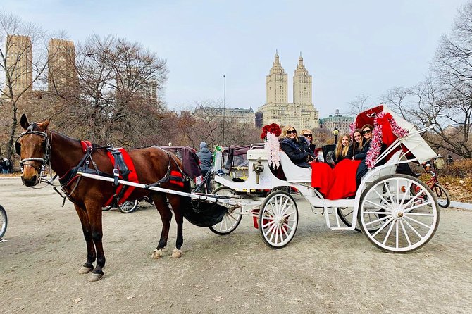 45 Minute VIP Central Park Carriage Ride - Why the lower loop works so well by carriage