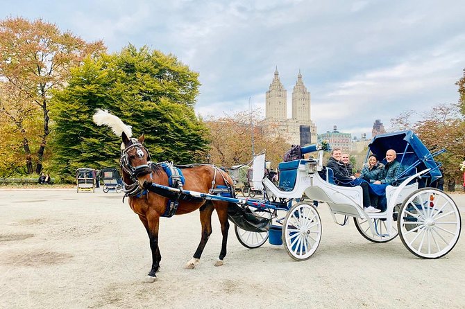 45 Minute VIP Central Park Carriage Ride - The Mall and the chess and checkers house