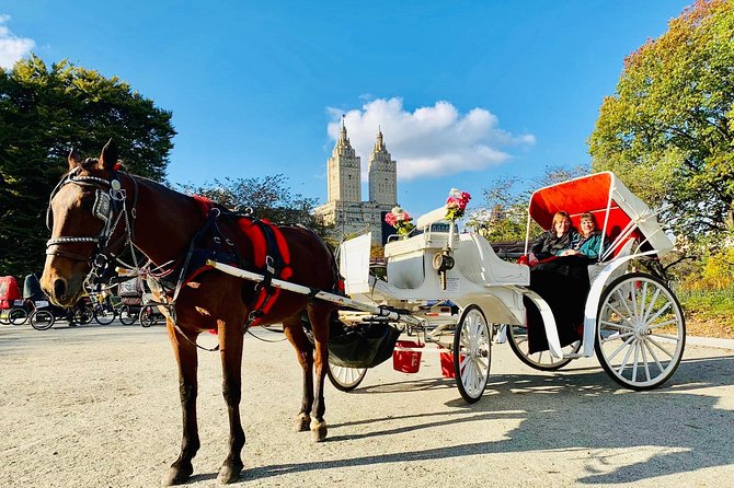 45 Minute VIP Central Park Carriage Ride - Tavern on the Green and the final sights