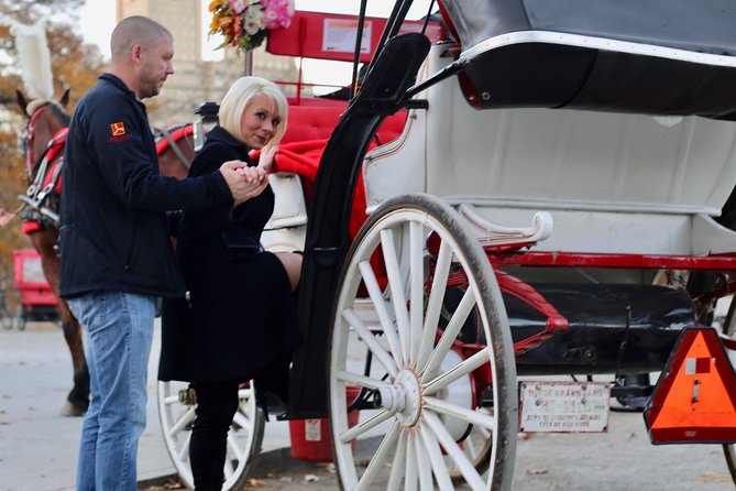 45 Minute VIP Central Park Carriage Ride - Starting at Central Park South and West Drive