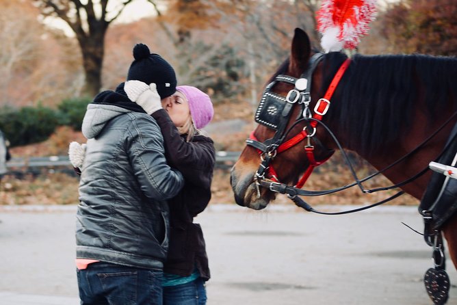 60 min surprise proposal carriage ride - Why Bow Bridge is the natural proposal focus