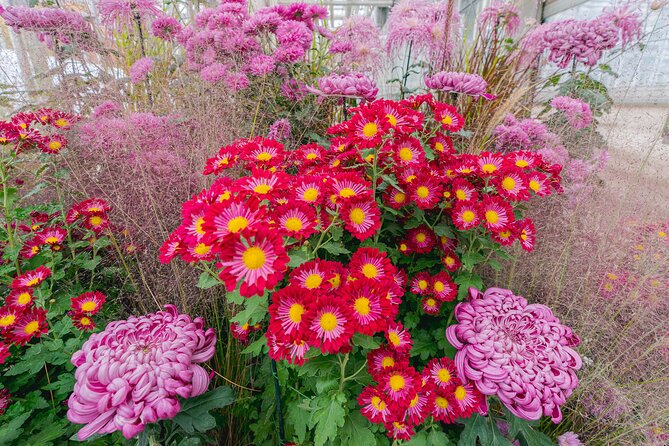 All-Garden Pass for the New York Botanical Garden - Food, shops, and pacing your visit