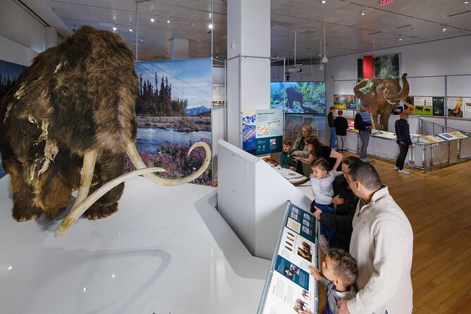 American Museum of Natural History Admission Ticket - Why this museum deserves half a day