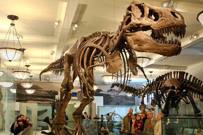 American Museum of Natural History Admission Ticket - The dinosaur halls: a strong first stop