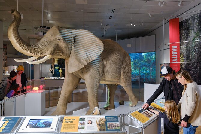 American Museum of Natural History Admission Ticket - How much can you see in three or four hours?