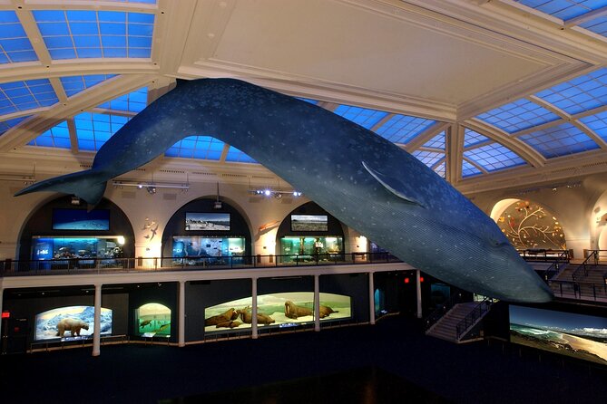 American Museum of Natural History Admission Ticket - Food, breaks, and the Central Park connection