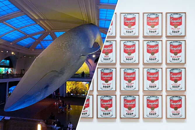 American Museum of Natural History and MOMA Combo Tickets - How to organize the two museums