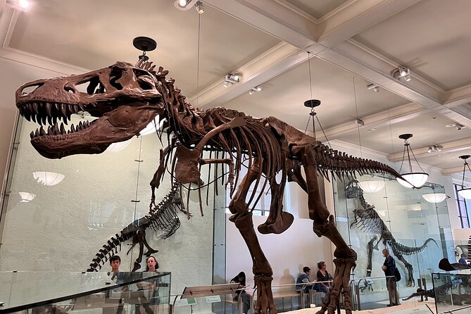 American Museum of Natural History and MOMA Combo Tickets - What the ticket includes, and what it does not