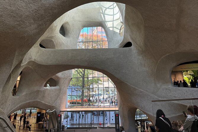 American Museum of Natural History and MOMA Combo Tickets - Who will get the most from this combo