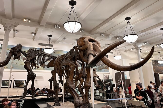 American Museum of Natural History and MOMA Combo Tickets - Practical details that affect your visit
