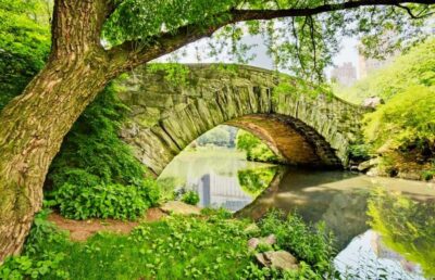 Best of Central Park: Top-Rated Pedicab Tour NYC