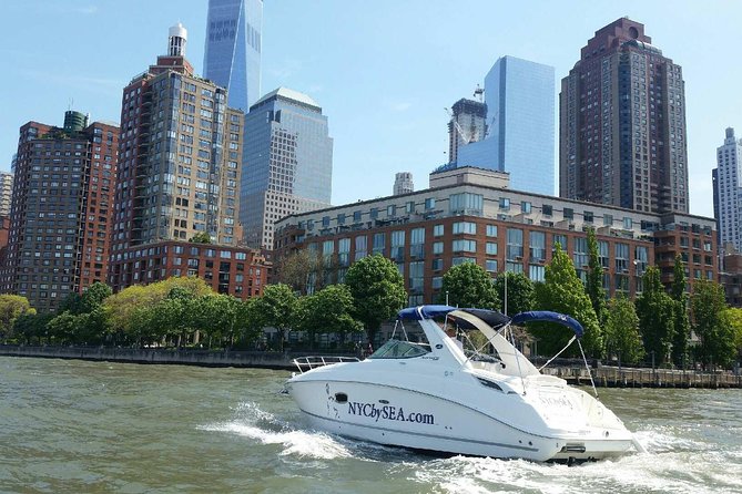 Best Private Luxury Daytime Boat Tour in New York City - 1 Hour - The Statue of Liberty from the harbor