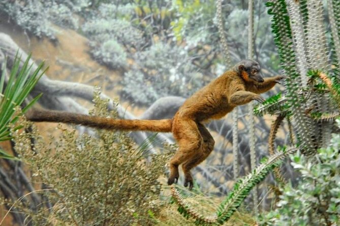 Bronx Zoo Admission Ticket - Key points to know before you go