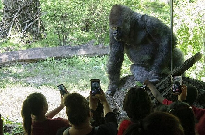 Bronx Zoo Admission Ticket - Make the Children’s Zoo a family highlight