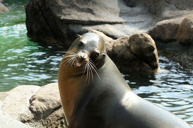 Bronx Zoo Admission Ticket - Food, bathrooms, and comfort stops
