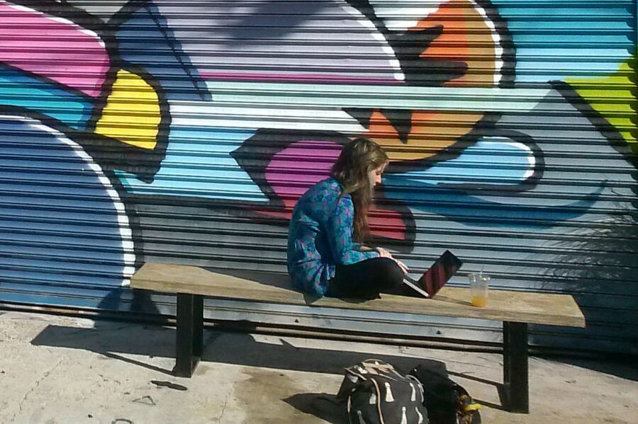 Brooklyn: 2-Hour Best of Brooklyn Walking Tour -Williamsburg - The value of a $32 Brooklyn walk