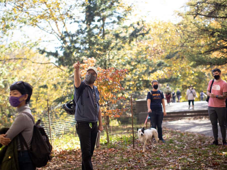 Brooklyn: 2-Hour Prospect Park Guided Walking Tour - Starting at the Brooklyn Public Library