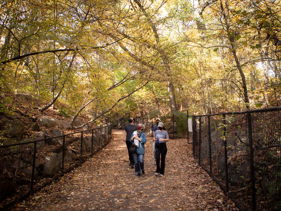 Brooklyn: 2-Hour Prospect Park Guided Walking Tour - Smart ways to prepare