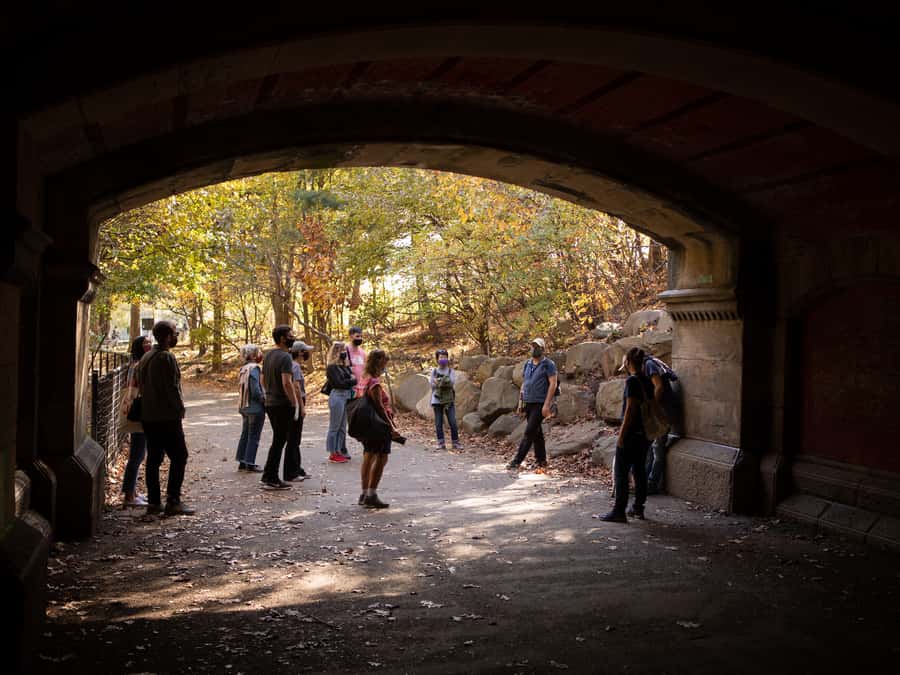 Brooklyn: 2-Hour Prospect Park Guided Walking Tour - Long Meadow and the park’s first impression