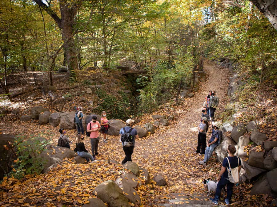 Brooklyn: 2-Hour Prospect Park Guided Walking Tour - Lakes, streams, and waterfalls