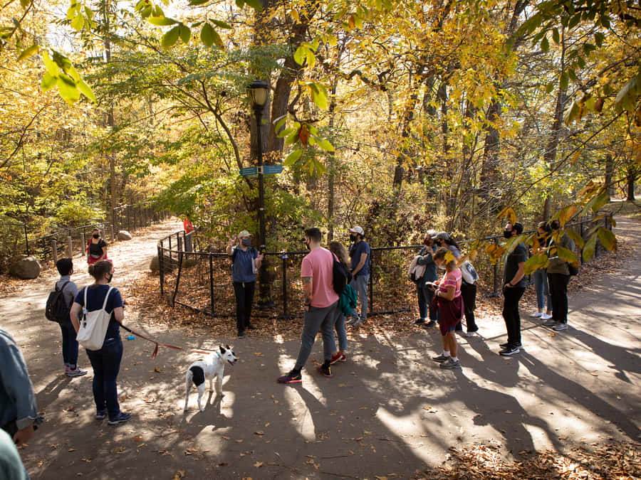 Brooklyn: 2-Hour Prospect Park Guided Walking Tour - Two hours on foot, rain or shine
