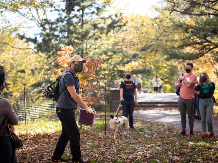 Brooklyn: 2-Hour Prospect Park Guided Walking Tour - What $25 buys you