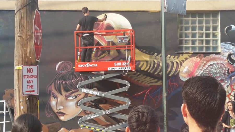 Brooklyn: Bushwick Street Art Walking Tour - Why the neighborhood setting matters
