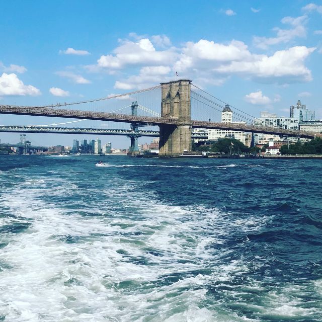 Brooklyn: The Bridge, DUMBO, & Brooklyn Heights Best of Tour - Who should book this Brooklyn walk?