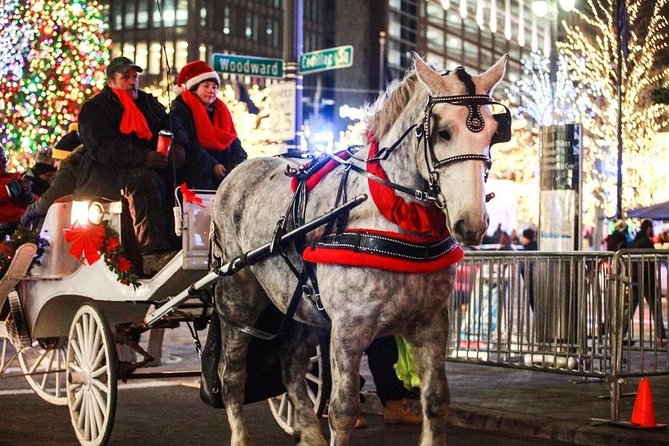 Carriage Ride in Central Park (VIP - PRIVATE) Since 1964™ - A private ride through Central Park