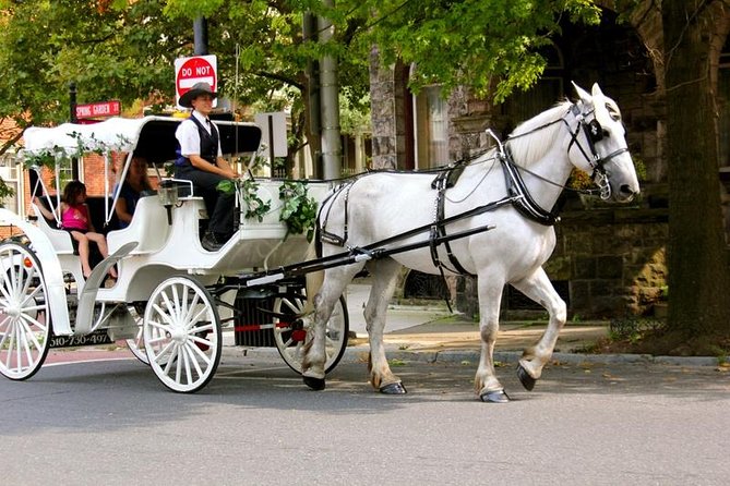 Carriage Ride in Central Park (VIP - PRIVATE) Since 1964™ - Literary Mall, Balto, and the Boat Pond