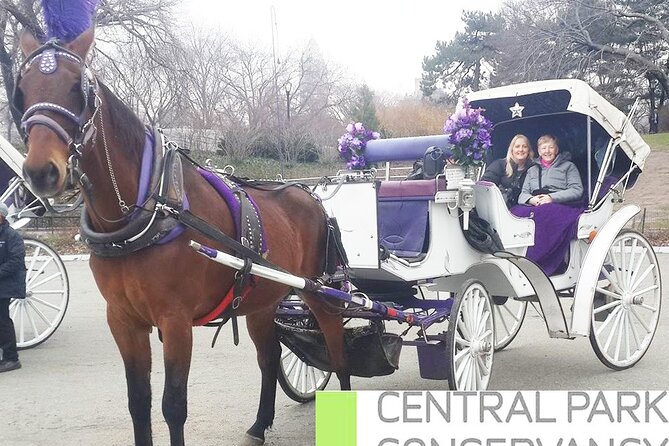 Carriage Ride in Central Park (VIP - PRIVATE) Since 1964™ - Bethesda Fountain and Cherry Hill photo stops