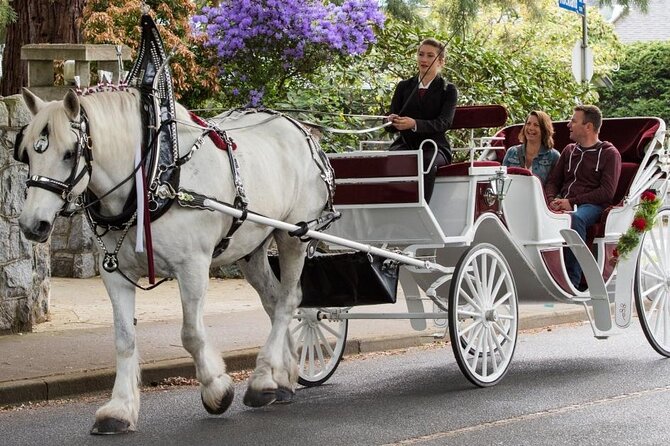 Carriage Ride in Central Park (VIP - PRIVATE) Since 1964™ - Daylight, darkness, and winter weather