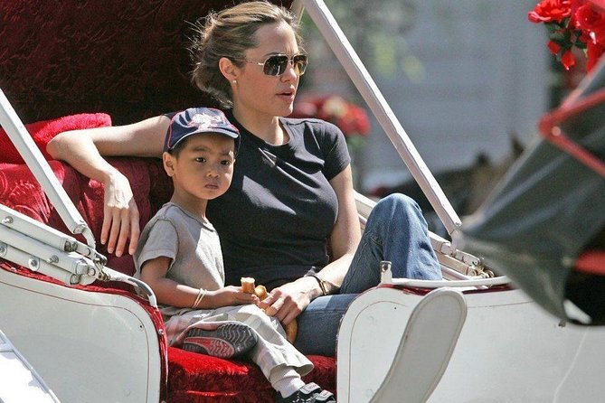 Carriage Ride in Central Park (VIP - PRIVATE) Since 1964™ - The $14.99 group price and what it means