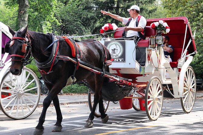 Central Park Carriage Ride w/ Drop Off @ Tavern On Green (45 min) - Why a carriage is a smart first look at Central Park