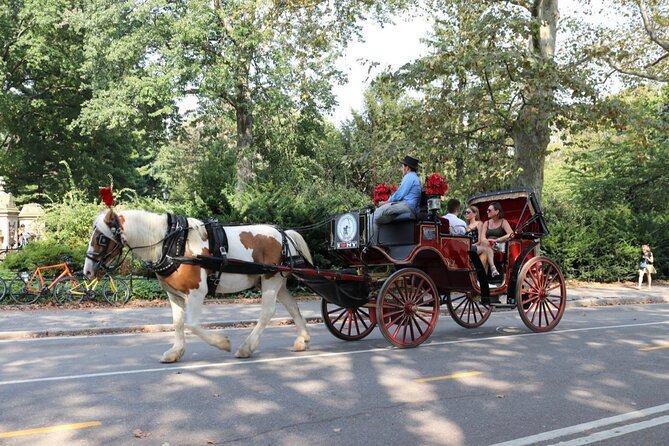 Central Park Carriage Ride w/ Drop Off @ Tavern On Green (45 min) - Movie locations and city stories along the route