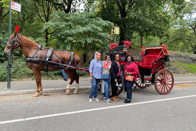 Central Park Carriage Ride w/ Drop Off @ Tavern On Green (45 min) - A closer look at the horse and carriage