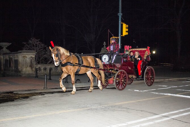 Central Park Carriage Ride w/ Drop Off @ Tavern On Green (45 min) - What the first part of the ride feels like