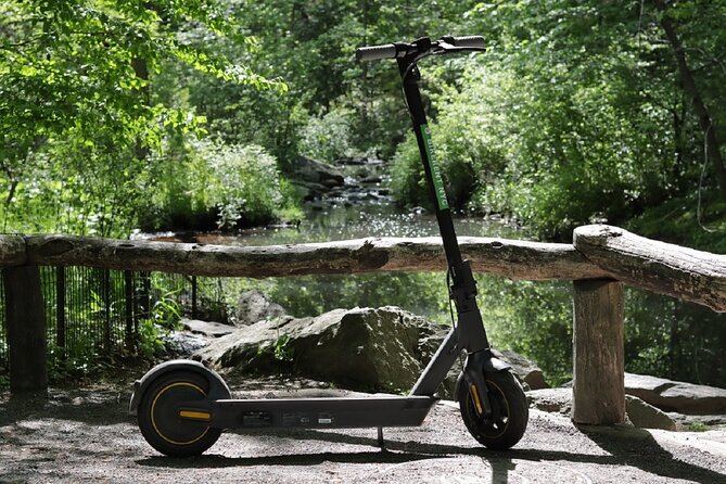Central Park Electric Scooter Rentals - Who will get the most from this rental