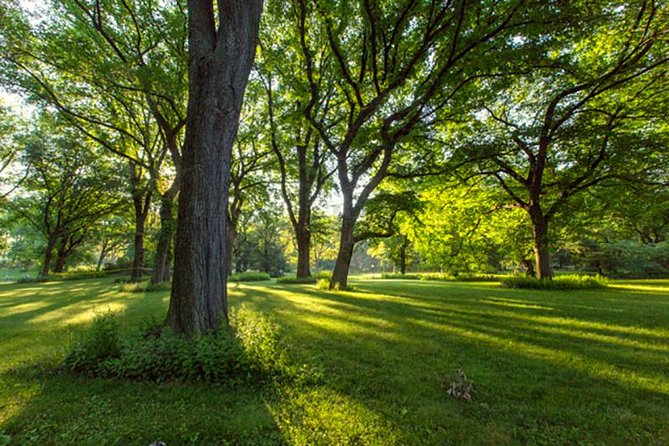 Central Park Guided Walking Tour - A closer look at the walking demands