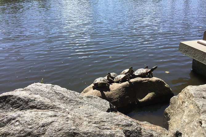 Central Park Guided Walking Tour - Is $44.20 a fair price?