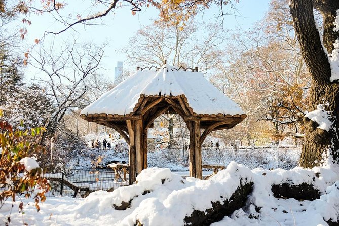 Central Park Guided Walking Tour in French - The Jacqueline Kennedy Reservoir and Longer Views